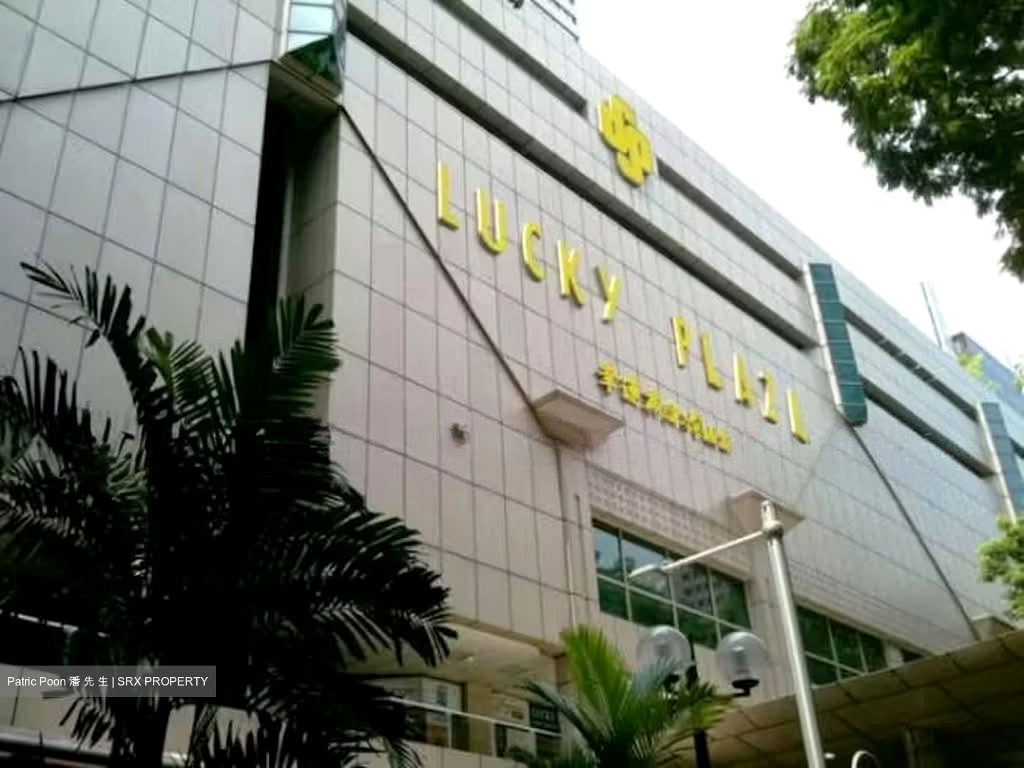 Lucky Plaza (D9), Shop House #602690341